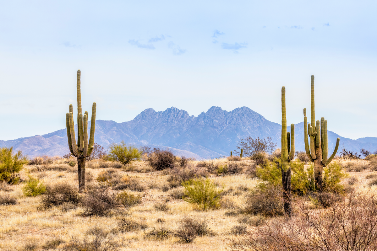 Arizona Airbnb: How to Carve a Niche for Your Vacation Rental