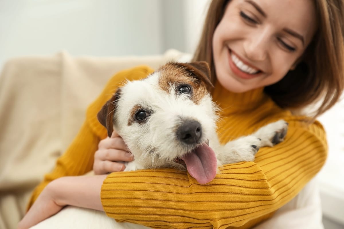 Booking.com Pet-friendly Listings: How to Appeal to Pets (and Their Owners)