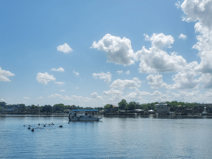 Crystal river preserve state park