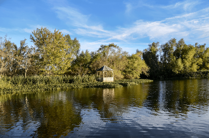 Stunning views of the bayou from vacation rental property