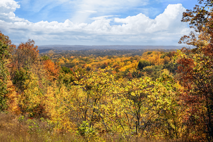 Brown County State Park, cities in Tennessee, Airbnb markets